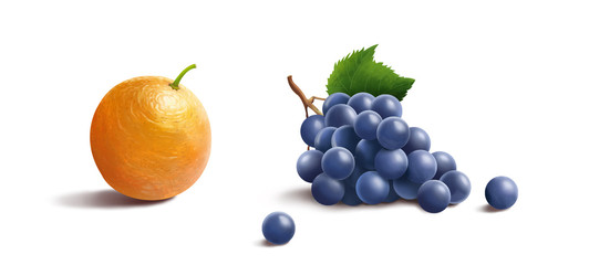 Orange and grape fruit
