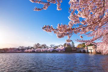 Tidal Basin Inlet Bridge Gates