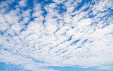 sky and cloud in the sunny day