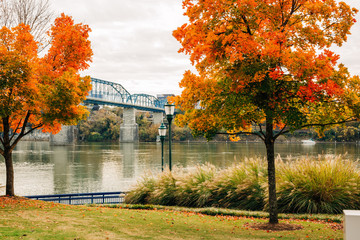 Chattanooga Tennessee Downtown Bridges