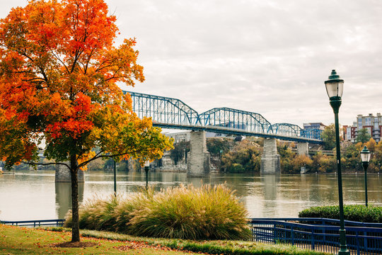 Chattanooga Tennessee Downtown Bridges