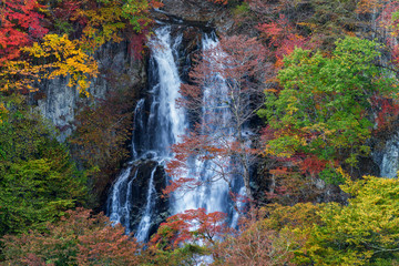 Kirifuri waterfall in beautiful autumn season, Nikko, Japan.