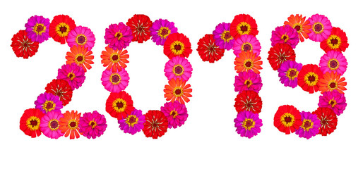 Message of 2019 by zinnia flower isolated on white background for happy new year.