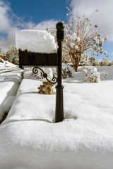 Mailbox in Snow