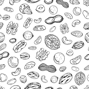 Pattern of vector illustrations on the nutrition theme; set of different kinds of nuts. Realistic isolated objects for your design.