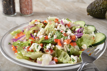 Fresh gourmet Greek salad