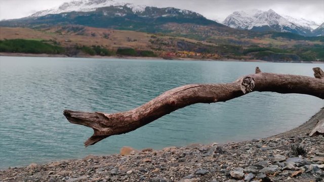 Dead tree fallen down at the lakeside of a mountain lake in Autumn, surrounded by snowy mountains.
Lake Serre Pon&radic;&szlig;on in South east France (Hautes Alpes).