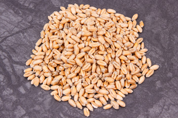 Rye or wheat grains, concept ot rural and agriculture