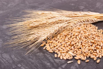 Gordijnen Rye or wheat grains and ears of cereal © ratmaner