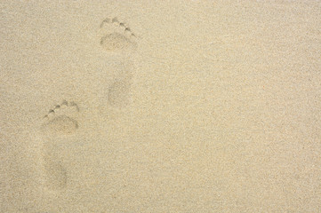 Fototapeta na wymiar single human footprint on the beach sand, copy space