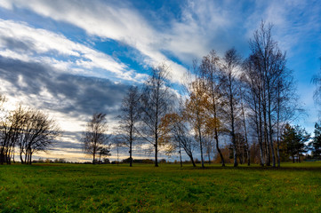 Autumn scenery with meadows trees and evening sky