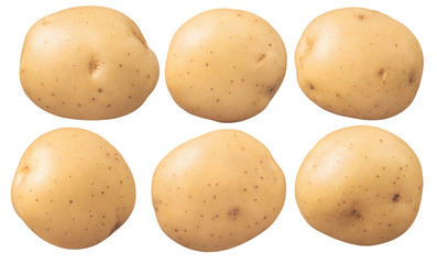 New potatoes set isolated on white background