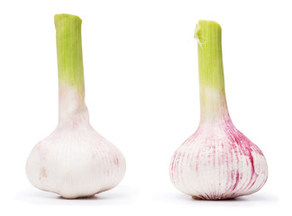 two large young garlic isolated on a white background