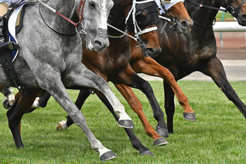 Horse racing action