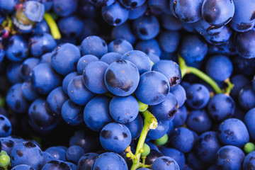 Grapes