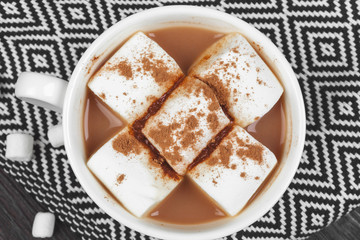 Hot chocolate with marshmallows on the table
