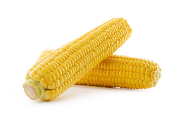 Corn on a white background