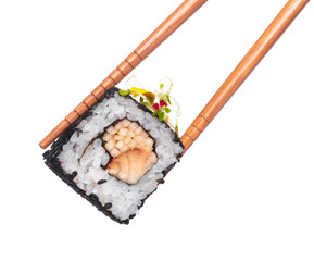 Sushi Roll isolated on a white background