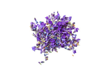 Lavender flowers on white background