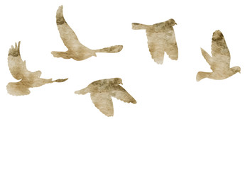 vector, isolated, watercolor silhouette of flying pigeons, a flock of birds flies
