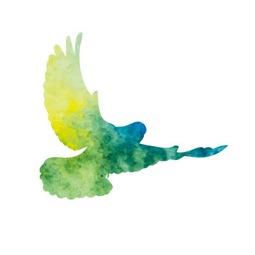 vector isolated blue watercolor flying dove silhouette
