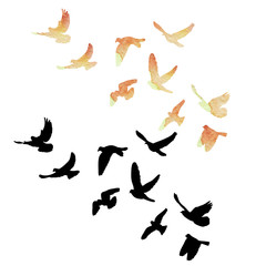 vector isolated, a flock of birds flies, watercolor silhouette