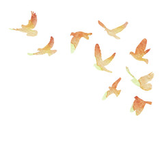 vector isolated, a flock of birds flies, watercolor silhouette