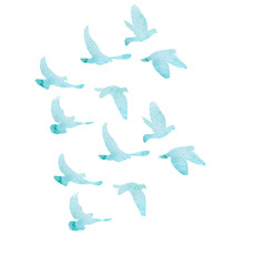 isolated, a flock of birds flies, blue watercolor silhouette