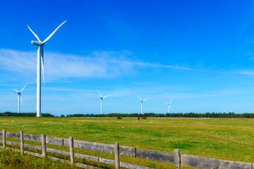 Wind turbines in the North Cape, PEI