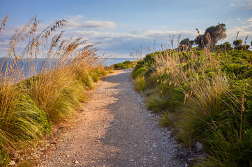 Scenic coastal trail path at sunset, Mallorca, Spain.