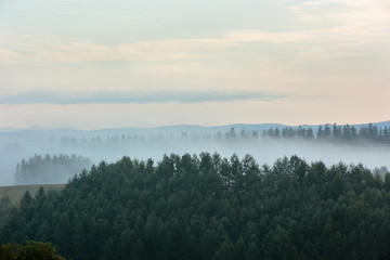 北海道美瑛・秋の風景