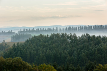 北海道美瑛・秋の風景