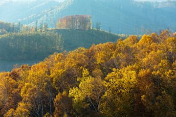 Obraz premium 北海道美瑛・秋の風景