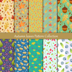 Autumn leaves and berry seamless pattern collection
