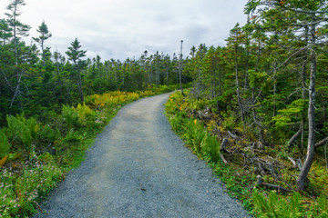 Fototapeta na wymiar Skyline trail, in Cape Breton Highlands National Park