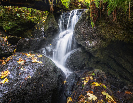 A Small Waterfall in the Mountains of California