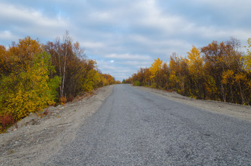 Fototapeta premium The dirt road is surrounded by autumn forest.