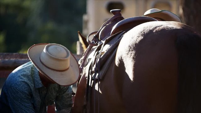 Cowboy in corral saddling his horse Dude Ranch Canada