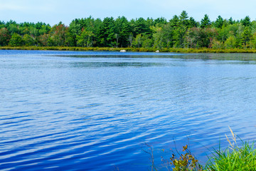 Snake Lake, in Kejimkujik National Park