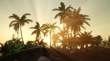 Obraz na płótnie Canvas Silhouette coconut palm trees at sunset