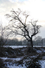 Fototapeta na wymiar Winter Landschaften in NRW