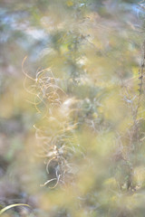 Naklejka premium abstract background