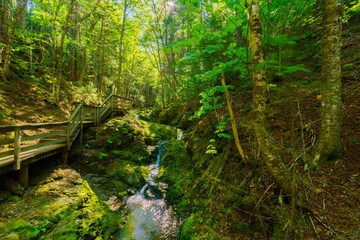 Dickson Falls trail, in Fundy National Park