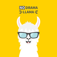 Llama alpaca animal face wearing sun glasses. No drama. Cute cartoon funny kawaii character. Childish baby collection. T-shirt, greeting card, poster template print. Flat design. Yellow background.