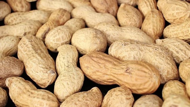 Groundnut peanut groundnuts peanuts texture pattern on rotating plate food hd video looping clip