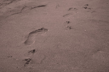 Fototapeta na wymiar An image of a footprint of a person.