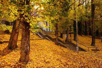 Stairs leading to the cable car for Tampa mountain surrounded by colorful leaves
