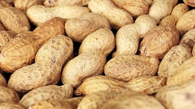 Groundnut peanut groundnuts peanuts texture pattern on rotating plate food hd video looping clip