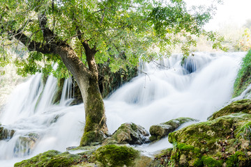 waterfall in forest