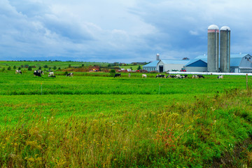 Fototapeta na wymiar Countryside in Saint-Michel-de-Bellechasse, Quebec